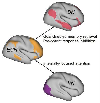 The Creative Brain Under Stress: Considerations for Performance in Extreme Environments